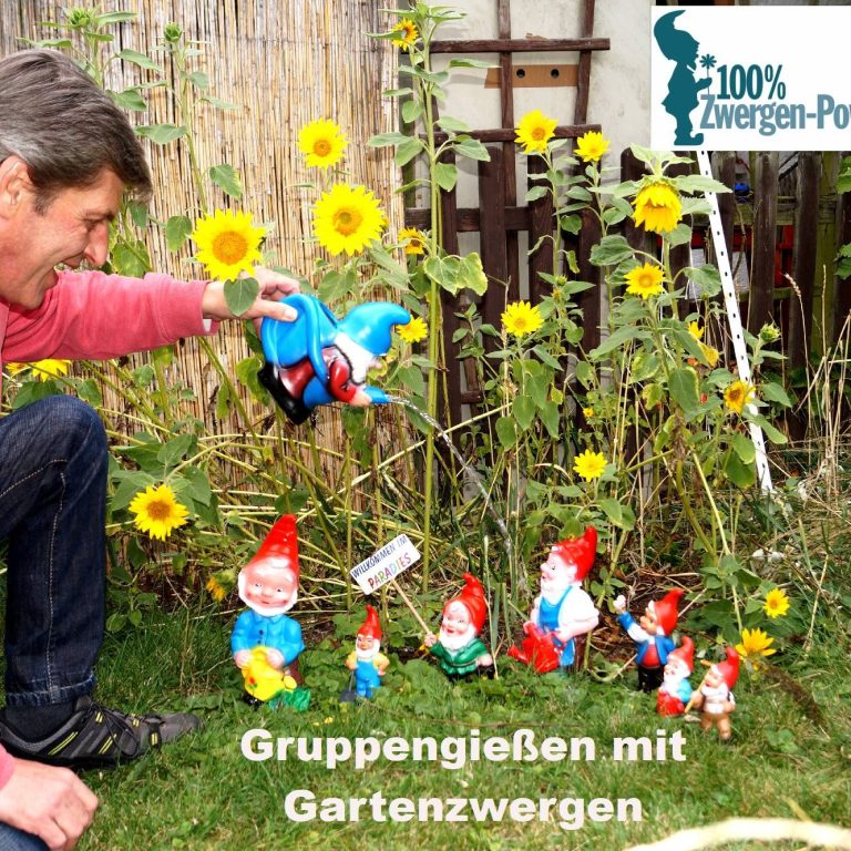 Andreas Klein gießt Blumen neben bunten Gartenzwergen inmitten von Sonnenblumen.